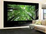 Grow