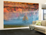 Misty Valley and Forest in Autumn  Davis  West Virginia  USA