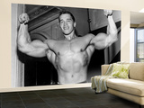 Arnold Schwarzenegger