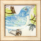Bluebird