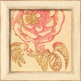 Coral Rose
