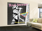 Rod Stewart- Absolutely Live