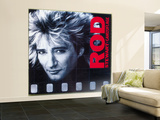 Rod Stewart- Camouflage