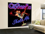Cinderella-Shock Me
