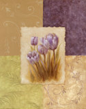 Amethyst Tulip
