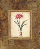 Botanical Dream II