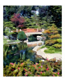 Bridge in Japanese Garden