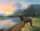 Elk I