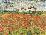 Field of Poppies  Auvers-Sur-Oise  c1890