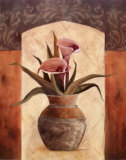 Galla Lilies