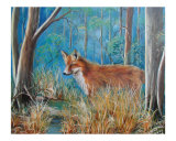 Fox in Marsh