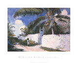 Garden in Nassau  1885