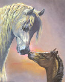 Horse Kisses