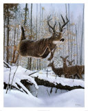 Leaping Deer