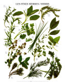 Mixed Herbs