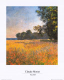 Oat Fields
