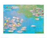 Water Lilies  c1908 (detail)