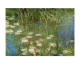 Water Lilies of the Orangerie as Giverny