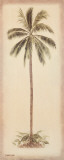 Palm Tree I