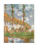 Poplars at Giverny