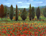 Poppies
