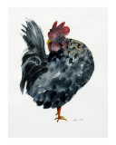 Rooster