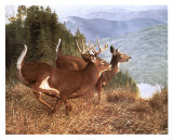 Running Deer