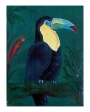 Toucan Paradise