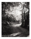 The Road Taken