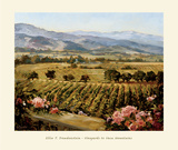 Vineyards to Vaca Mountains