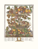 Twelve Months of Fruits  1732  June