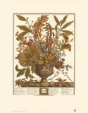 Twelve Months of Flowers  1730  January