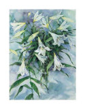 White Lilies