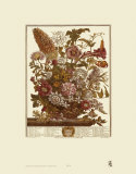 Twelve Months of Flowers  1730  August