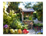 Wishing Well