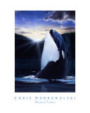 Wonders of Creation - Whale Series I