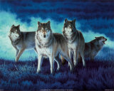 Wolf Group