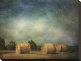 Hay Rolls