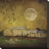 Sheep Under a Harvest Moon