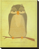 The Sensible Owl
