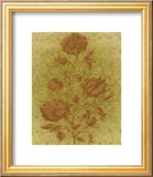 Amalia Roses