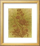 Amalia Tulips