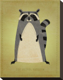 The Artful Raccoon