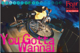 You Gotta Wanna!