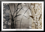 Silver Whispers II