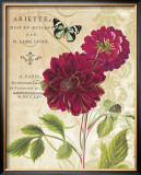 Red Dahlias