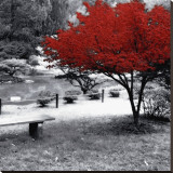 Quiet Moments