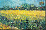 View of Arles with Irises