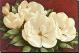 Magnolia Crimson I