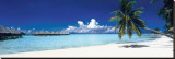 Tropical Beach